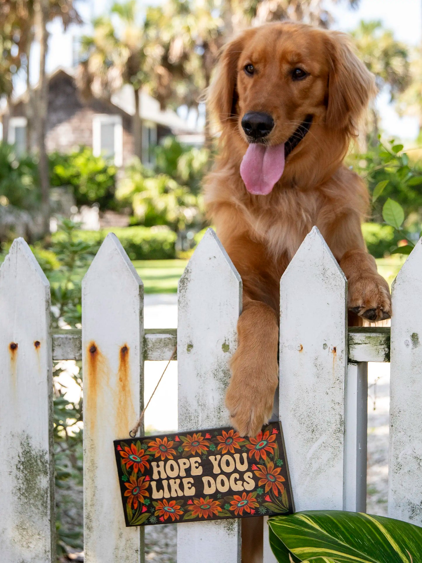 Porch Sign - Like Dogs