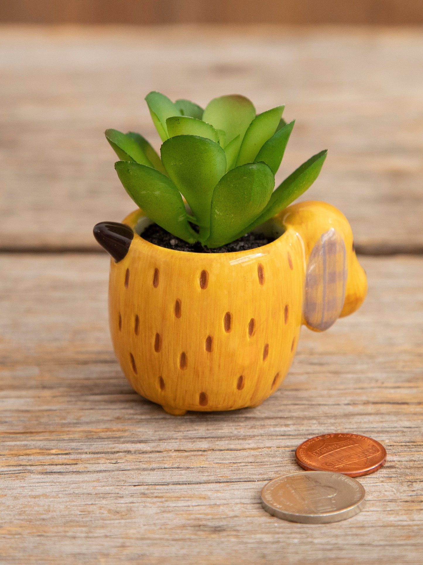 Tiny Faux Succulents - Dog
